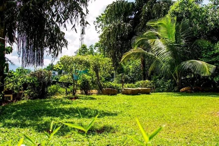 The Tenthola แคนดี้ ภายนอก รูปภาพ